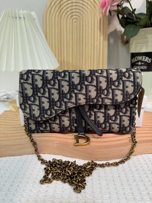 Dior Saddle WOC 92 New